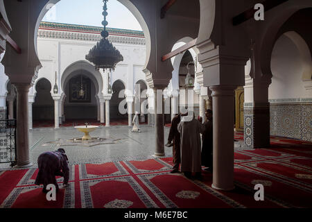 Hof, Zaouia (Grab) von Moulay Idriss II, Medina, Fès. Marokko Stockfoto