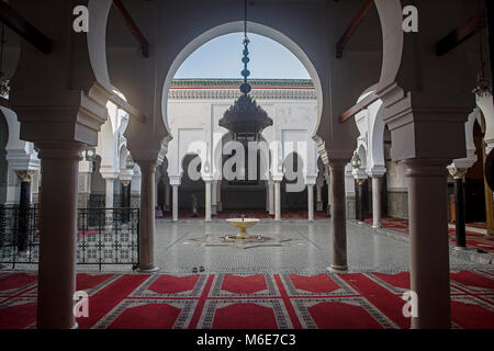 Hof, Zaouia (Grab) von Moulay Idriss II, Medina, Fès. Marokko Stockfoto