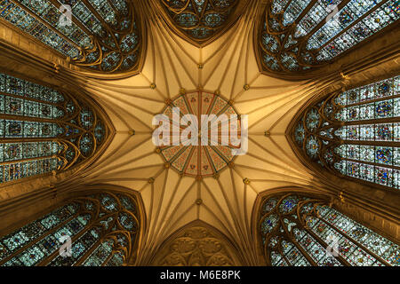 Die herrlichen mittelalterlichen Gewölbe des Chapter House in York Minster, York, England, UK. Stockfoto