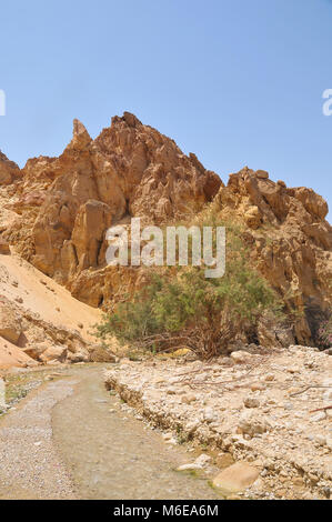 In einem der schönsten Täler oder Wadi Karak in Jordanien im Nahen Osten mit üppiger Vegetation und einem Strom von süsswasser nicht weit von der t Stockfoto