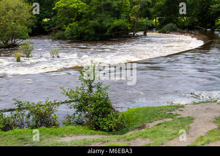 Blick auf die Horseshoe Falls, ein Wehr am Fluss Dee, Llangollen, North Wales. Stockfoto