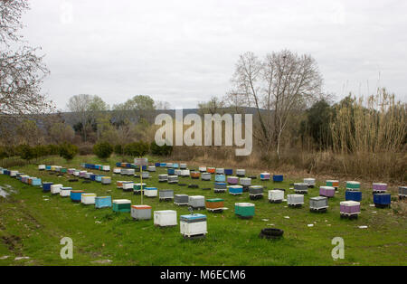Bienenvölker in einem Bienenhaus. Am Schild Es in der griechischen Sprache "Warnung - Bienenstöcke werden durch GPS-System beobachtet" geschrieben wird Stockfoto