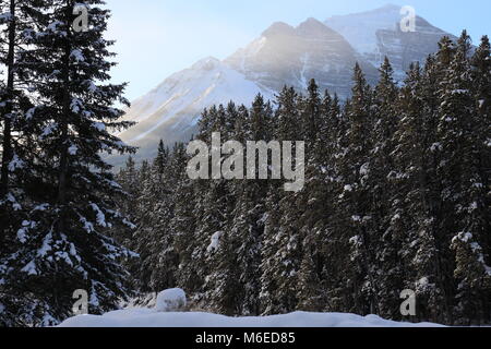 Winterlandschaft in Kanada Stockfoto