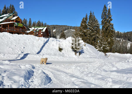 SINAIA, Rumänien - 25. Januar 2018. Bolboci Chalet auf ialomita Tal, Bucegi, Rumänien. Stockfoto