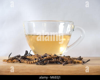 Wählen Sie Fokus der Pilz Cordyceps (CHONG CAO) diese Kräuter. Mit einem Glas Wasser, Wasser aus dem Ophiocordyceps sinensis Hinzufügen extrahieren. Arzneimittel Prop Stockfoto