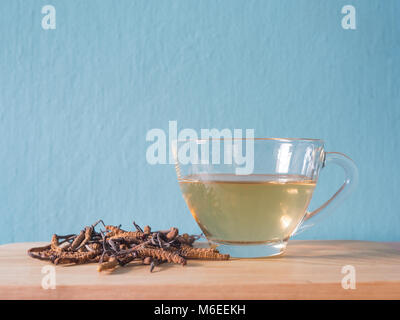 Wählen Sie Fokus der Pilz Cordyceps (CHONG CAO) diese Kräuter. Mit einem Glas Wasser, Wasser aus dem Ophiocordyceps sinensis Hinzufügen extrahieren. Arzneimittel Prop Stockfoto
