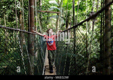 Netter kleiner Junge, der auf einem Baldachin-Spaziergang im Taman Negara Regenwald, Malaysia, läuft Stockfoto