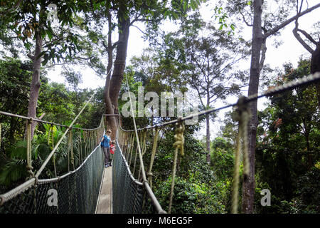 Mutter und Kind gehen auf dem Baumkronen Spaziergang im Taman Negara Regenwald, Malaysia Stockfoto