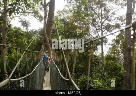 Mutter und Kind gehen auf dem Baumkronen Spaziergang im Taman Negara Regenwald, Malaysia Stockfoto