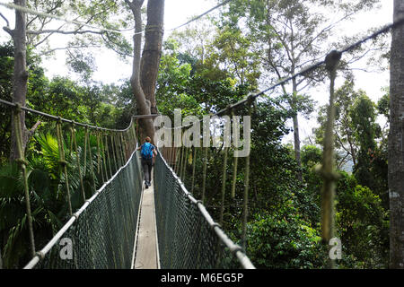 Mutter und Kind gehen auf dem Baumkronen Spaziergang im Taman Negara Regenwald, Malaysia Stockfoto