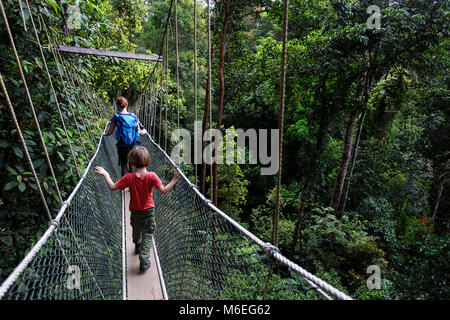Mutter und Kind gehen auf dem Baumkronen Spaziergang im Taman Negara Regenwald, Malaysia Stockfoto