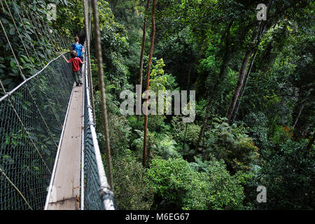 Mutter und Kind gehen auf dem Baumkronen Spaziergang im Taman Negara Regenwald, Malaysia Stockfoto