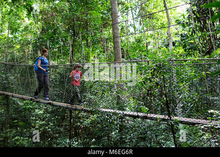 Mutter und Kind gehen auf dem Baumkronen Spaziergang im Taman Negara Regenwald, Malaysia Stockfoto