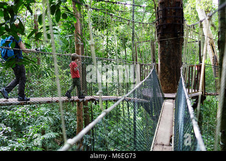 Mutter und Kind gehen auf dem Baumkronen Spaziergang im Taman Negara Regenwald, Malaysia Stockfoto