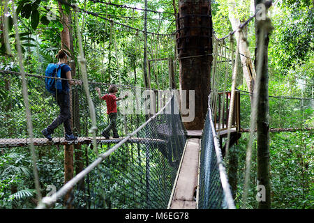 Mutter und Kind gehen auf dem Baumkronen Spaziergang im Taman Negara Regenwald, Malaysia Stockfoto