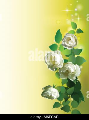 Grußkarten mit Frühling Blumen. Valentines Tag card Design. Hintergrund für Grußkarten, Hochzeitseinladungen Stock Vektor