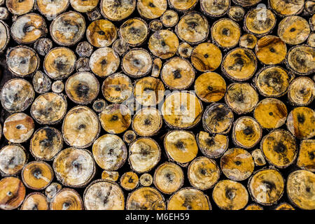 Rustikale Holz Fliesen Mosaik Muster, natürliche Holzstruktur backsplash, bar Dekor Holz Fliesen Stockfoto