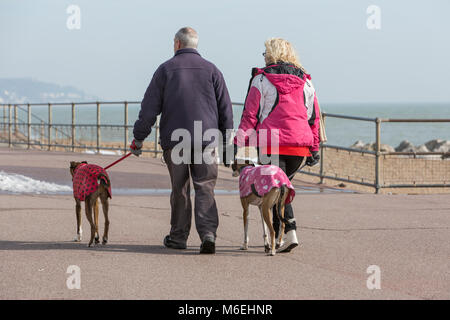 Ein paar wenige Windhunde entlang der Strandpromenade Stockfoto