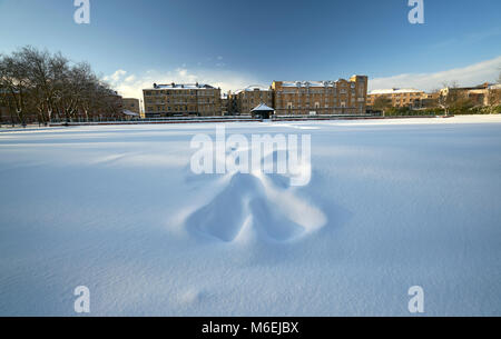 Schnee Engel in der frühen Morgensonne nach Blizzard in Glasgow, Schottland 2018 Stockfoto