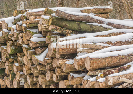 Stapel der große Stämme durch Schnee während der 2018 "Tier aus dem Osten' Polarwirbel Schneestürme abgedeckt. Stockfoto