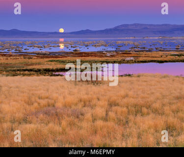 Mondaufgang, Mono Lake, Mono Basin National Forest Scenic Area, Inyo National Forest, Kalifornien Stockfoto