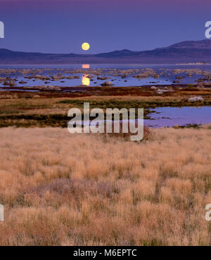 Mondaufgang, Mono Lake, Mono Basin National Forest Scenic Area, Inyo National Forest, Kalifornien
