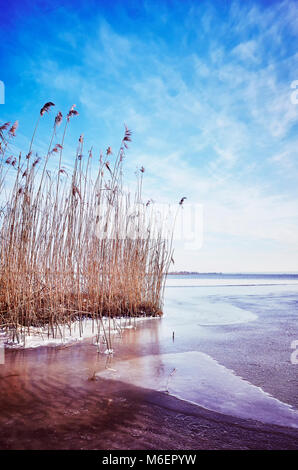 Malerische Winterlandschaft mit trockenen Schilf in einen zugefrorenen See, Farbe getonte Bild Stockfoto