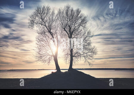 Twin Trees Silhouetten an einem Flussufer bei Sonnenuntergang, Farbe getonte Bild. Stockfoto