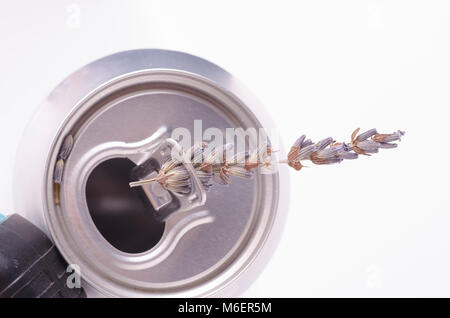 Random Betreff fotografiert in einem Studio Setup mit einem Licht- und einem Reflektor Stockfoto