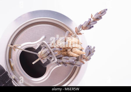 Random Betreff fotografiert in einem Studio Setup mit einem Licht- und einem Reflektor Stockfoto