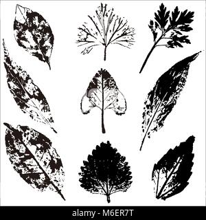 Vektor Zweige und Blätter. Hand gezeichnet floralen Elementen. Vintage botanischen Abbildung. Stock Vektor