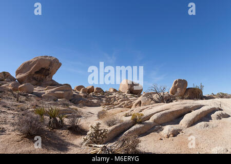 Joshua Tree National Park, Kalifornien: Felsformationen entlang Arch Rock Trail in den weißen Tank. Stockfoto