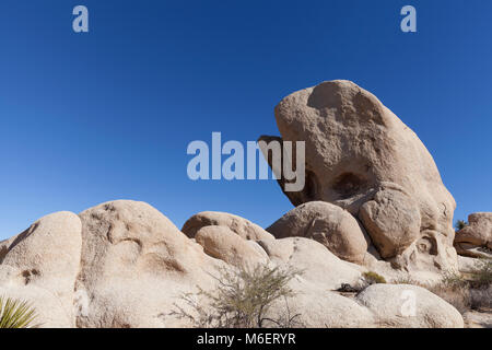 Joshua Tree National Park, Kalifornien: Whale geformten Felsen entlang Arch Rock Trail in den weißen Tank. Stockfoto