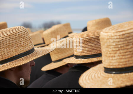 Die Masse an einem typischen Amish Festival namens 'Mud Verkauf." Lancaster County, Pennsylvania, USA Stockfoto