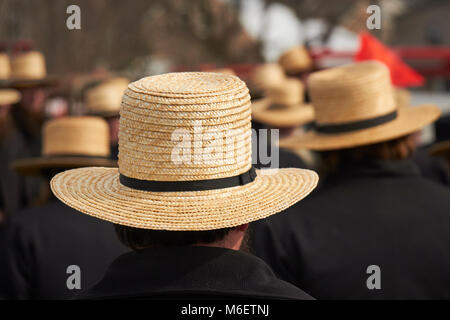 Die Masse an einem typischen Amish Festival namens 'Mud Verkauf." Lancaster County, Pennsylvania, USA Stockfoto