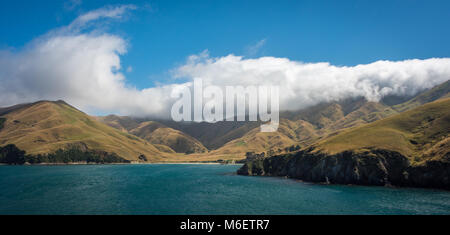 Interislander Fähre, Kochen Gerade, Neuseeland Stockfoto