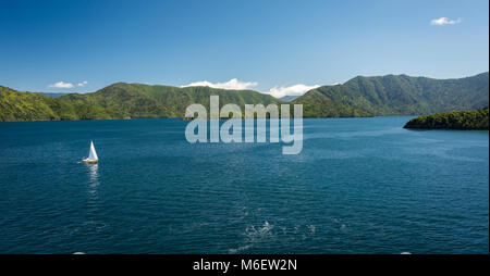 Interislander Fähre, Kochen Gerade, Neuseeland Stockfoto