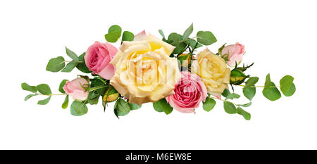 Pink und Gelb-rosa Blüten mit Eukalyptus Blätter in Anordnung auf weißem Hintergrund. Flach. Ansicht von oben. Stockfoto