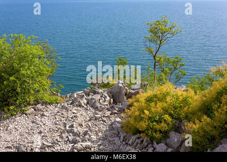 Adria Blick aus dem Karst felsigen Vorgebirge an der Küste in der Nähe von Triest, Italien Stockfoto