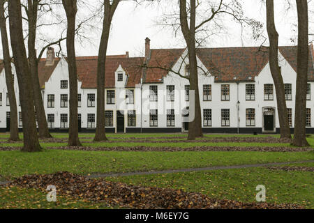 Weiße Häuser in den Hof des Begijnhof. Brügge, Belgien. Stockfoto