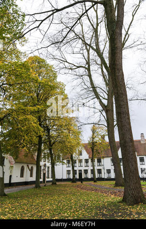 Weiße Häuser in den Hof des Begijnhof. Brügge, Belgien. Stockfoto