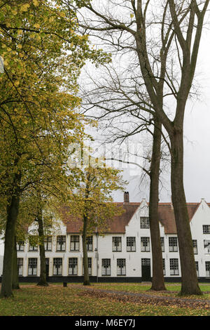 Weiße Häuser in den Hof des Begijnhof. Brügge, Belgien. Stockfoto