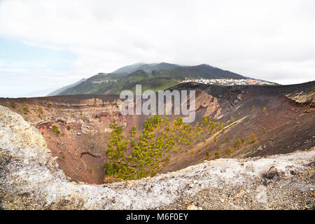 Bunte Pinien im Krater von San Antonio La Palma, Spanien. Stockfoto