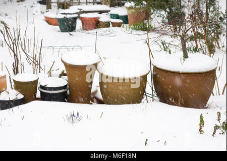 Schnee bedeckt Töpfe im Garten. Stockfoto