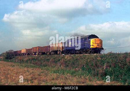 Mainline blau Livrierten Klasse 37 Diesellok Reihe 37372 Arbeiten einen Zug von leer Vorschaltgerät Wagen an Kühlung Straße auf das Korn Zweig am 9. Oktober 2002. Stockfoto