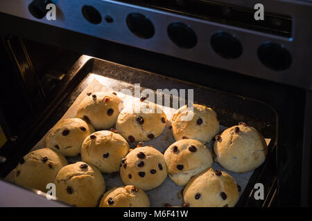 Nahaufnahme der Hot Cross Buns im Backofen. Ostern süße Kuchen frisch gebackene erleuchtet von elektrischen Backofen Licht Stockfoto