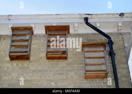 Mehrere-fach Nistkästen für Mauersegler (Apus apus) unter dem Dach eines Hauses angebracht, mit einer raschen, in den Zentralen, Cambridge UK. Stockfoto