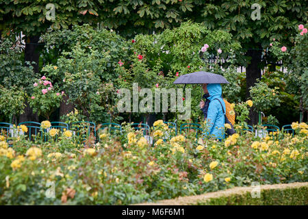 Touristen unter bunten Sonnenschirmen an einem regnerischen Sommertag in der Volksgarten Wien Stockfoto