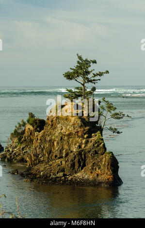 Felsvorsprung in Siletz Bay bietet Zuflucht für die Tierwelt. Lincoln City, Oregon Stockfoto