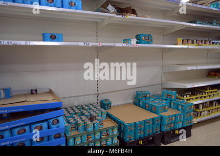 Post Schnee, niedrige Bestände in den Regalen der Supermärkte in Tesco Fforestfach Stockfoto